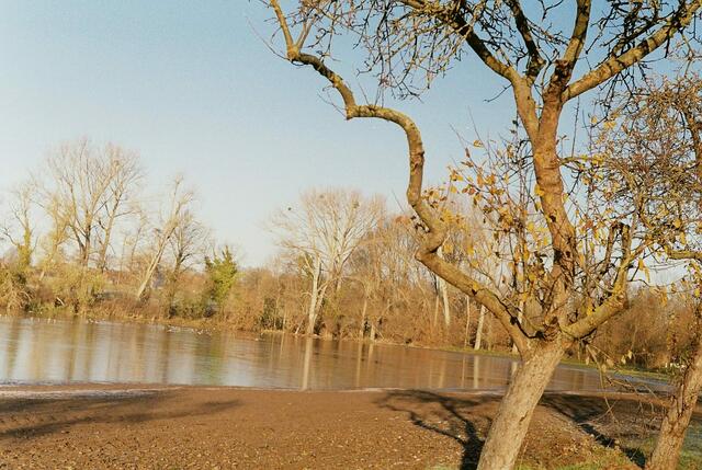 Apfelbaum mit Bibersee mit Leica ISO 200, 50 mm, 1/500 sec, f8.0,