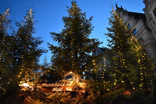 Stimmungsvoll: Der Wunschbrunnenwald