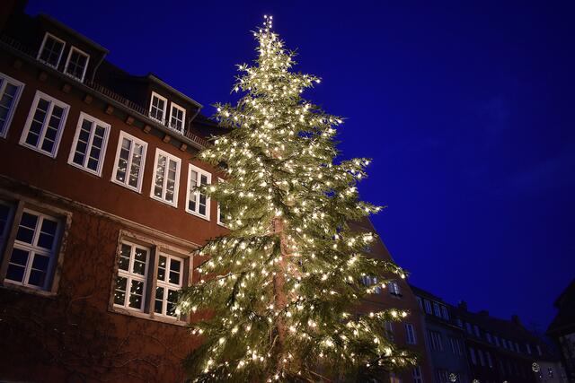 Weihnachtsbaum auf dem Ballhofplatz