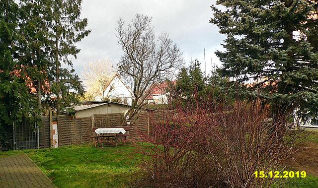 50  15.12.2019 - Sonntagsbilder - Fliederbaum (50) ! Temp: 6:17 6,7°C plus um 10:37 12,4°C plus / Es werden Höchsttemperaturen von 10° (gefühlt: 7°) und frischer Wind (31 km/h) aus Westsüdwest mit stürmischen Böen (63 km/h) erwartet. Es kommt zu Niederschlagsmengen von 0 - 1 l/m², die Niederschlagswahrscheinlichkeit beträgt 29%, die Sonne scheint 3,5 Stunden. Unwetterwarnung In Böen starker bis stürmischer Wind mit einzelnen Sturmböen bis 88 km/h (entsprechend Windstärke 8 bis 9)