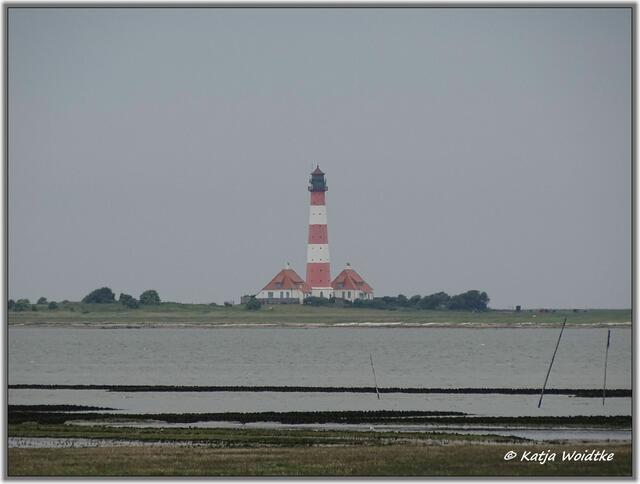 Durch die Salzwiesen bei Westerhever https://www.myheimat.de/westerhever/natur/durch-die-salzwiesen-bei-westerhever-d3054299.html (Foto: Katja Woidtke)