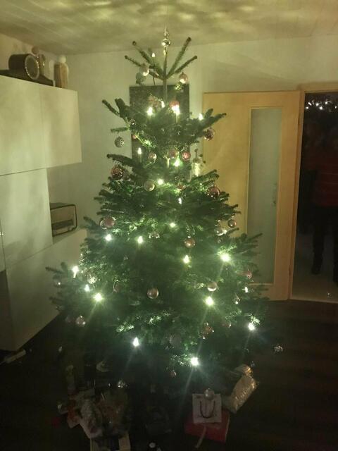 Der siegreiche Weihnachtsbaum 2019.