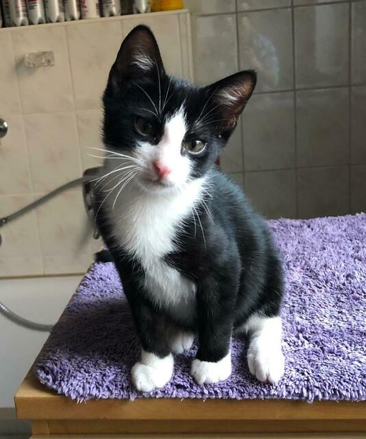 Peanut (Pflegestelle)