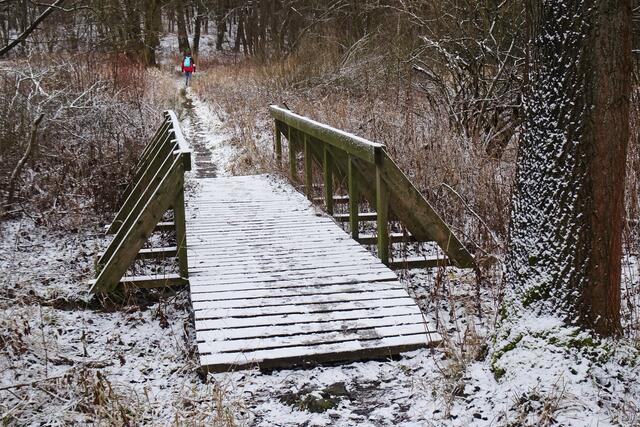 Brücke über die Seewiesen