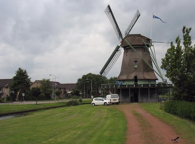 2013   Foto: Elvira ter Haar