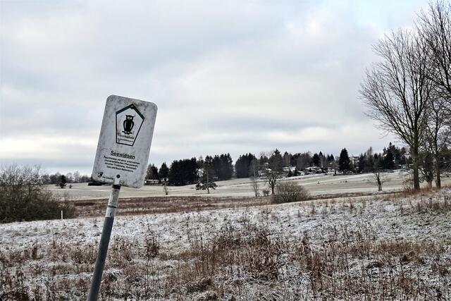 Seewiesen vor Friedrichsbrunn