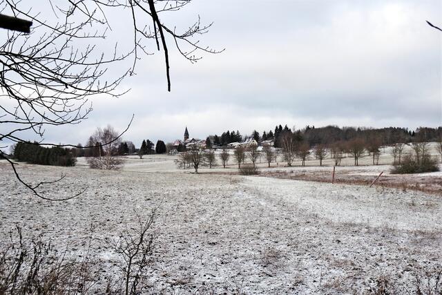 Blick über die Seewiesen auf Friedrichsbrunn