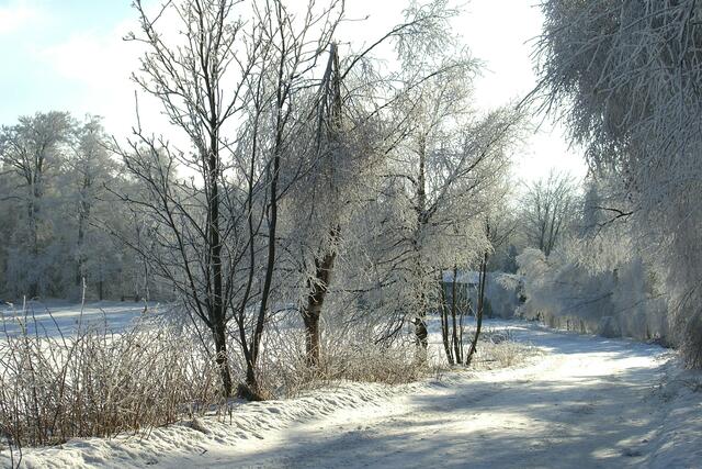 so sieht es im Winter um Friedrichsbrunn aus  (am Rande  der Seewiesen, Archivbild)