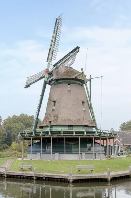 2017   Foto: Frank Hendriks