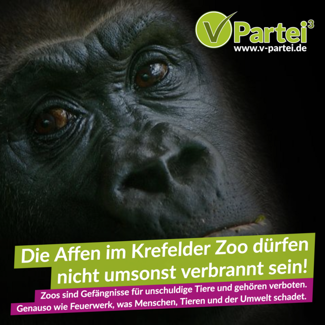 Foto: V-Partei