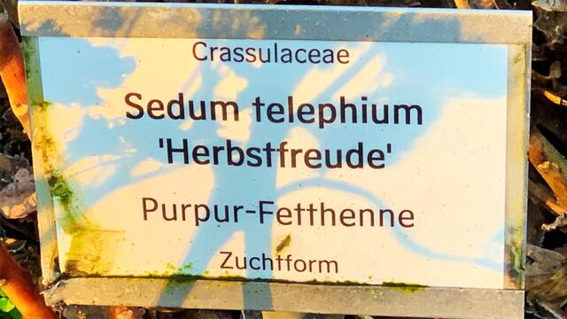 1. 1. Januar 2020. Im Stadtpark in Hannover am Congress Centrum. 1