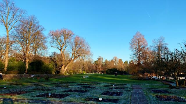1. 1. Januar 2020. Im Stadtpark in Hannover am Congress Centrum. 1