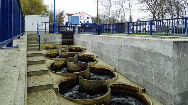 Die Fischtreppe am Mühlenteich wurde in Mäanderbauweise errichtet. Foto: Helmut Kuzina