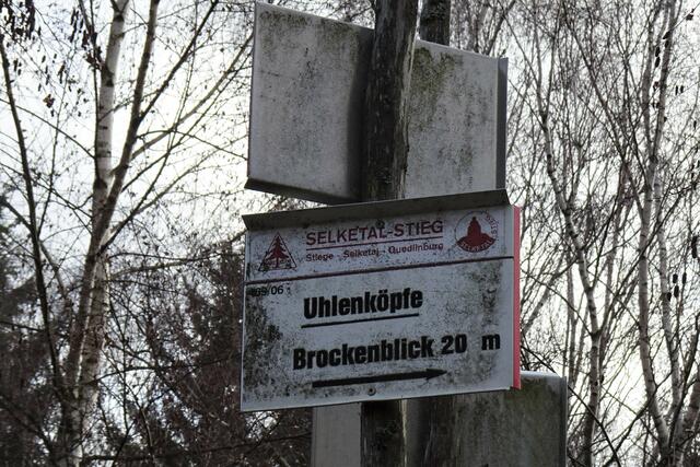 der versprochene Brockenblick ist durch hochgewachsene Bäume nicht mehr möglich
