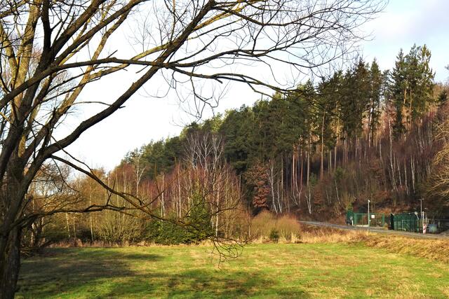 im Uhlbachtal