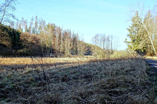 im Uhlenbachtal, vorn im Schattenbereich ist noch der Rauhreif der vergangenen Nacht vorhanden
