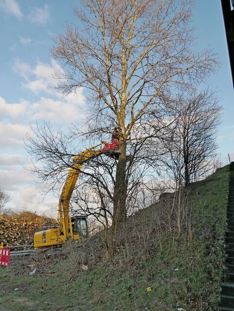 Ranfahren, Baum umklammern, Schere anschlagen. Es ist 15:51:28 Uhr