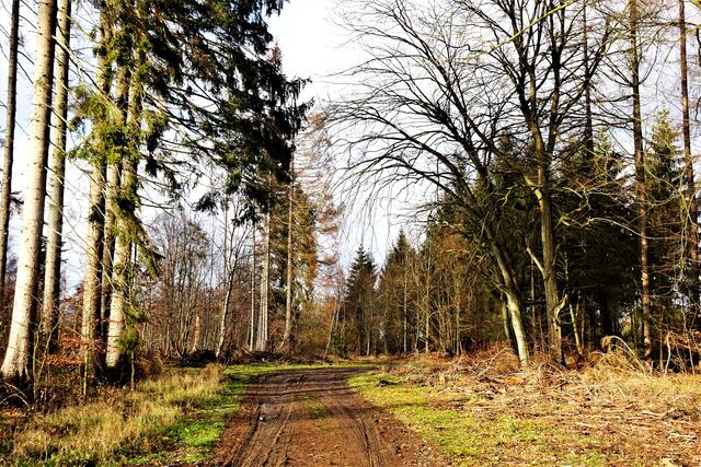 auf dem Weg nach Hänichen