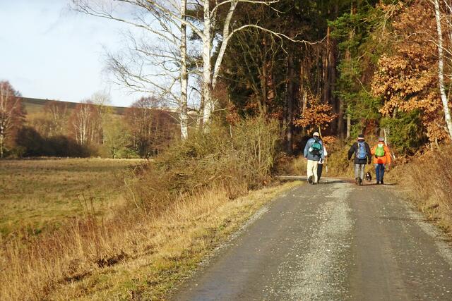 Im Uhlenbachtal. Das Quellgebiet des Kleinen Uhlenbachs ist am Rammberg im Luftkurort Friedrichsbrunn. Er fließt durch den Gondelteich von Friedrichsbrunn bevor er sich mit dem Großen Uhlenbach vereinigt. Das Quellgebiet des Großen Uhlenbachs liegt westlich vom Gondelteich