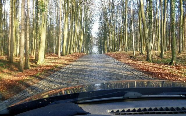 viel Wald, schmale Straßen