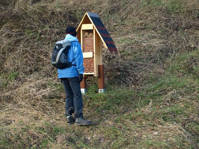 Am Insektenhotel