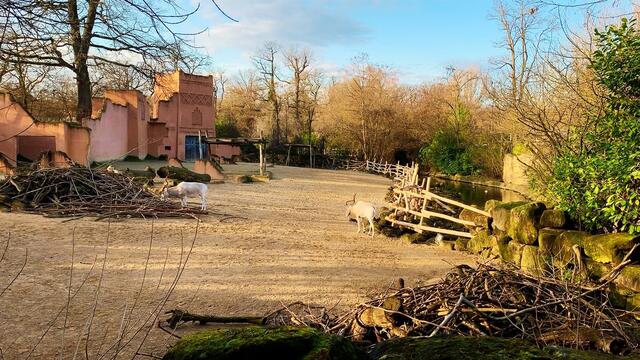 17. Januar 2020. Erlebnis-Zoo Hannover.