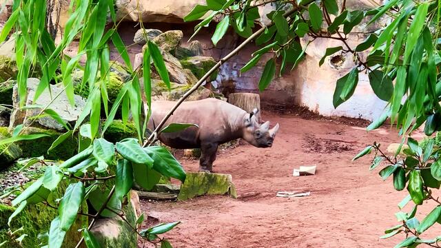 17. Januar 2020. Erlebnis-Zoo Hannover.