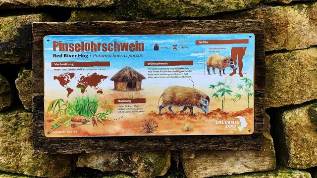 17. Januar 2020. Erlebnis-Zoo Hannover.