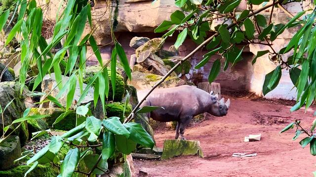 17. Januar 2020. Erlebnis-Zoo Hannover.