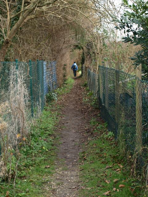 Durch diese kleine Gasse....