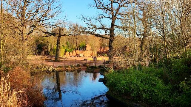 17. Januar 2020. Erlebnis-Zoo Hannover.