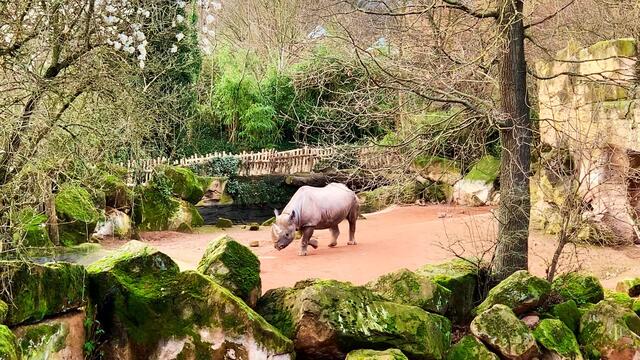 17. Januar 2020. Erlebnis-Zoo Hannover.