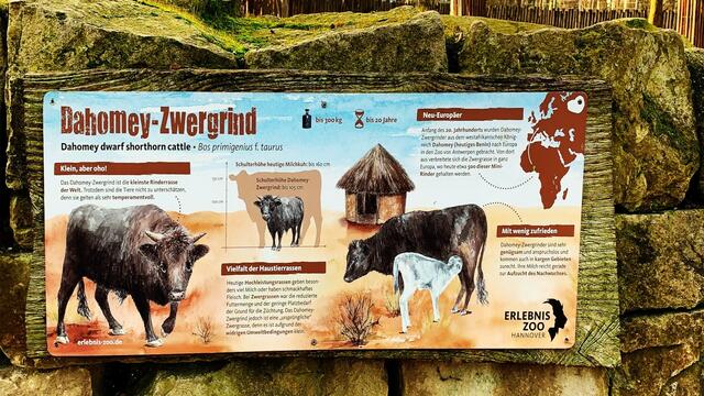 17. Januar 2020. Erlebnis-Zoo Hannover.