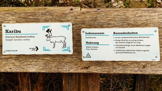 17. Januar 2020. Erlebnis-Zoo Hannover.