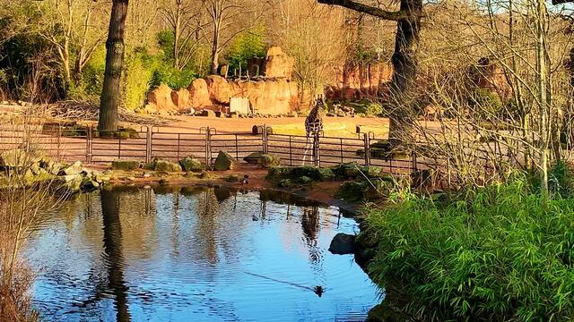 17. Januar 2020. Erlebnis-Zoo Hannover.