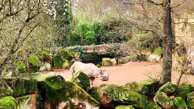 17. Januar 2020. Erlebnis-Zoo Hannover.