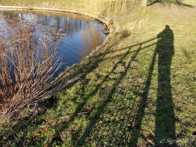 Licht und Schatten