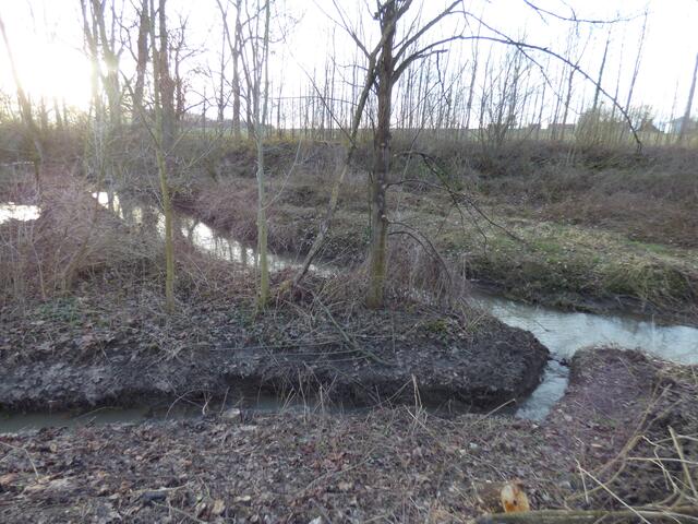 Damit die Felder und die Strasse nicht durch den Biberdamm am Fuchsbach völlig überflutet werden, hat man einen Ableitungskanal gebaut.