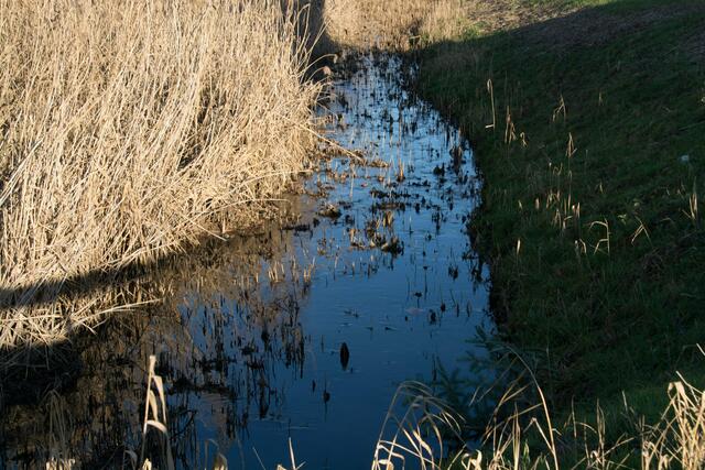 Wassertümpel