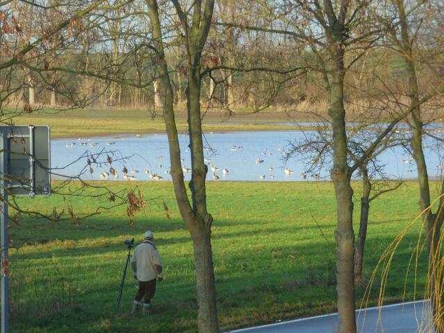 Mein täglicher Blick aus dem Fenster
