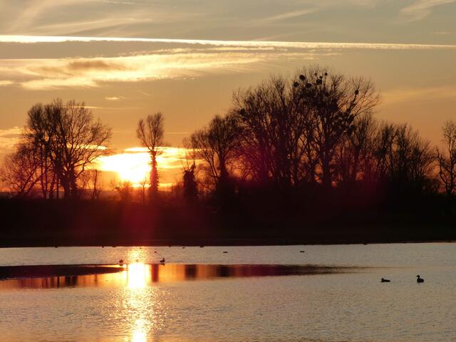 Der Bibersee