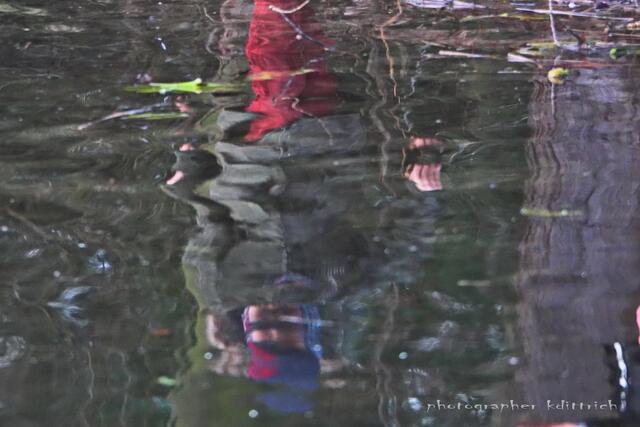 Der kleine Junge am Füttern....