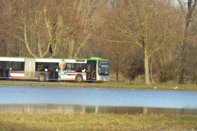 Jede Stunde zwei Mal für Fahrgäste  aus den Bussen zu sehen.