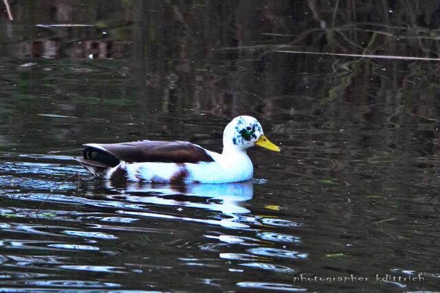 Eine der Wenigen....
