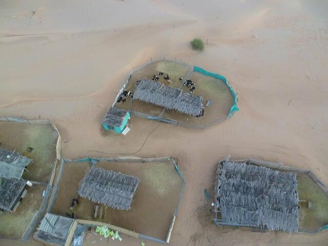 Noch in geringer Höhe. Eine landwirtschaftliche Siedlung in der Wüste von Dubai.