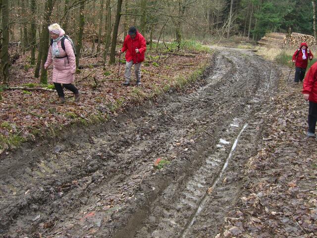 "schöner" Wanderweg