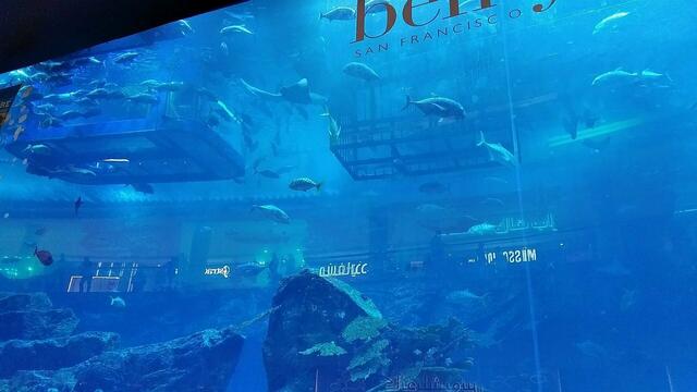 In den Unterwasserkäfigen können sich Schnorchler und Taucher frei bewegen. Die Käfige werden aber nicht weiter abgesenkt.