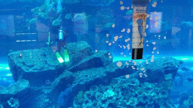 Der Taucher ist Mitarbeiter des Aquariums. Besucher-Taucher können sich nicht frei im Becken bewegen. Gegenteilige Darstellungen in den Medien sind nicht korrekt.