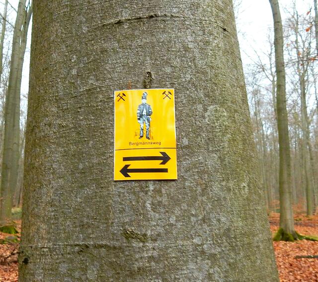 Auf dem Bergmannsweg