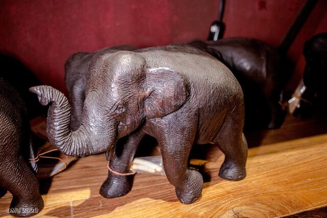 Elefant